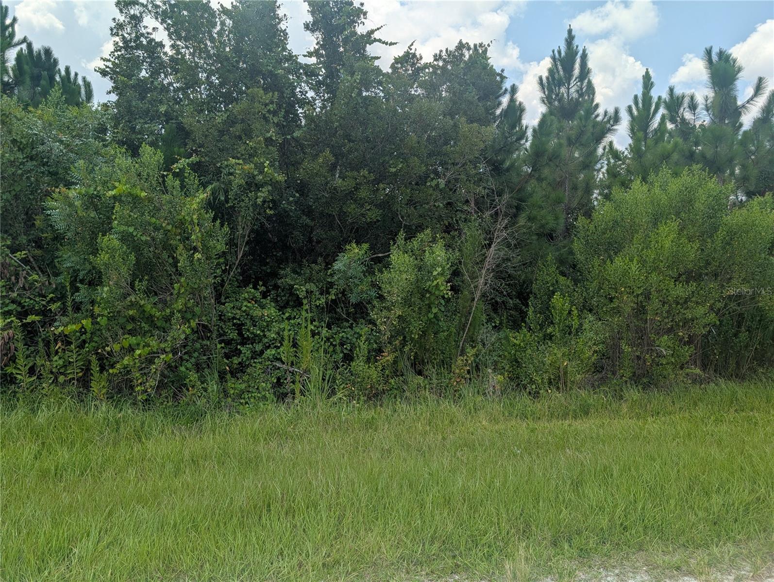 103 TROPICANA DR, INDIAN LAKE ESTATES, FL — photo 2