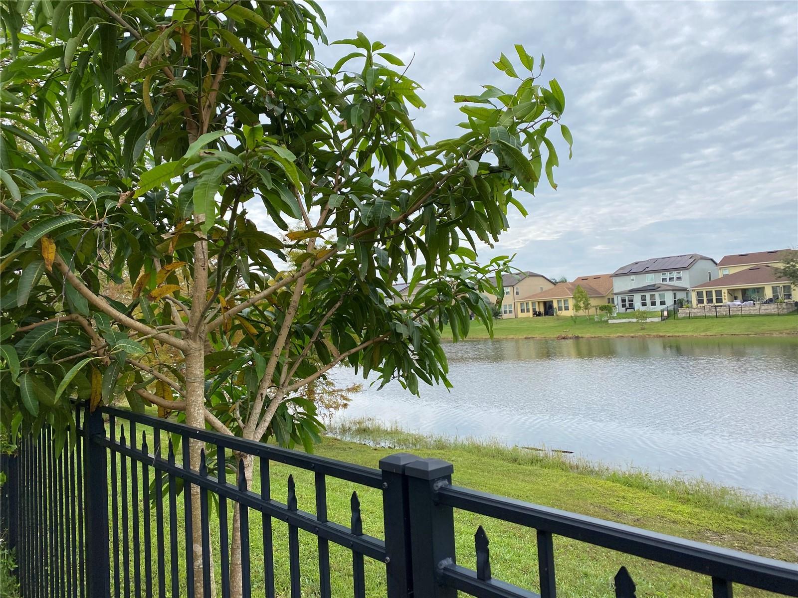 987 FOUNTAIN COIN LOOP, ORLANDO, FL — photo 45