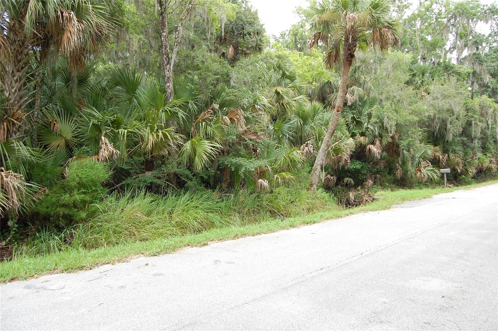 PALM DR, NEW SMYRNA BEACH, FL