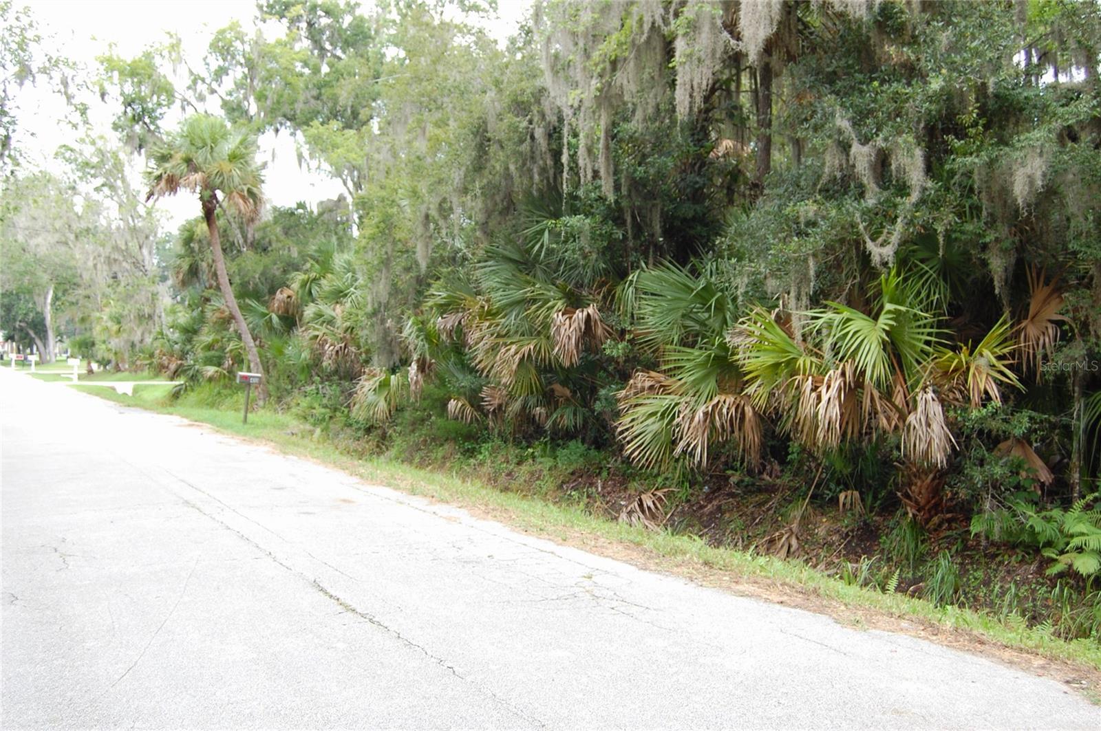 PALM DR, NEW SMYRNA BEACH, FL — photo 2