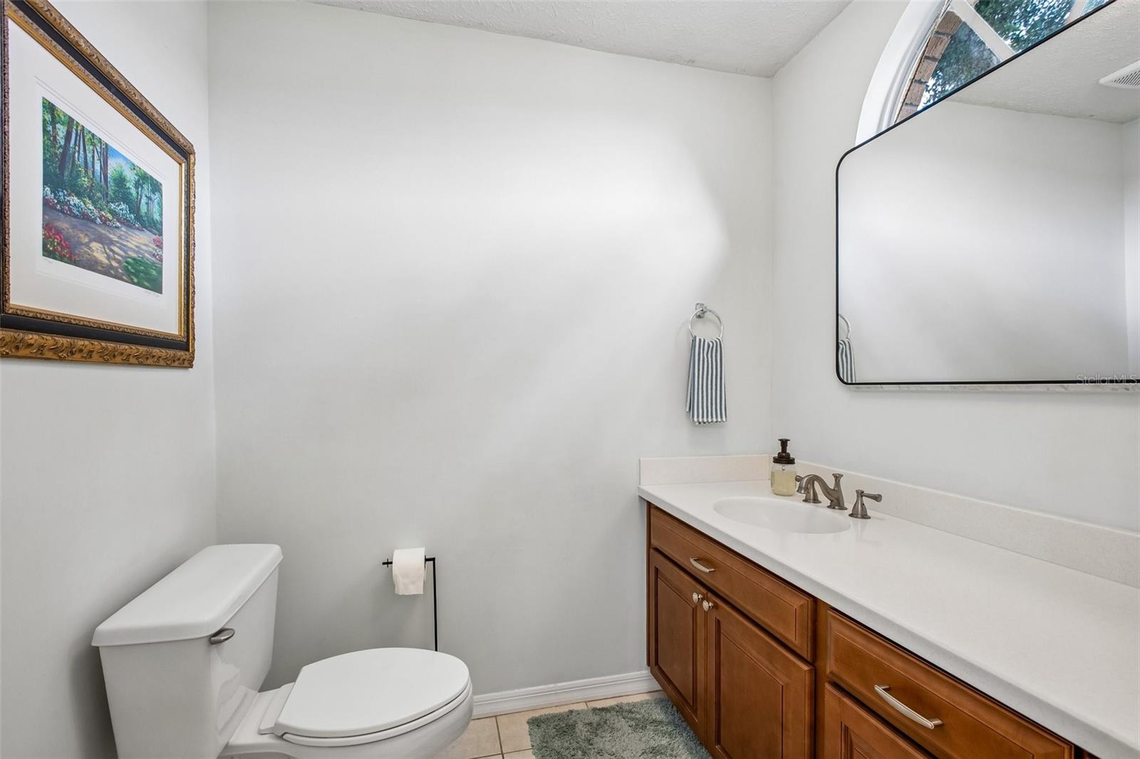 3949 APPLETREE DR, VALRICO, FL — photo 55