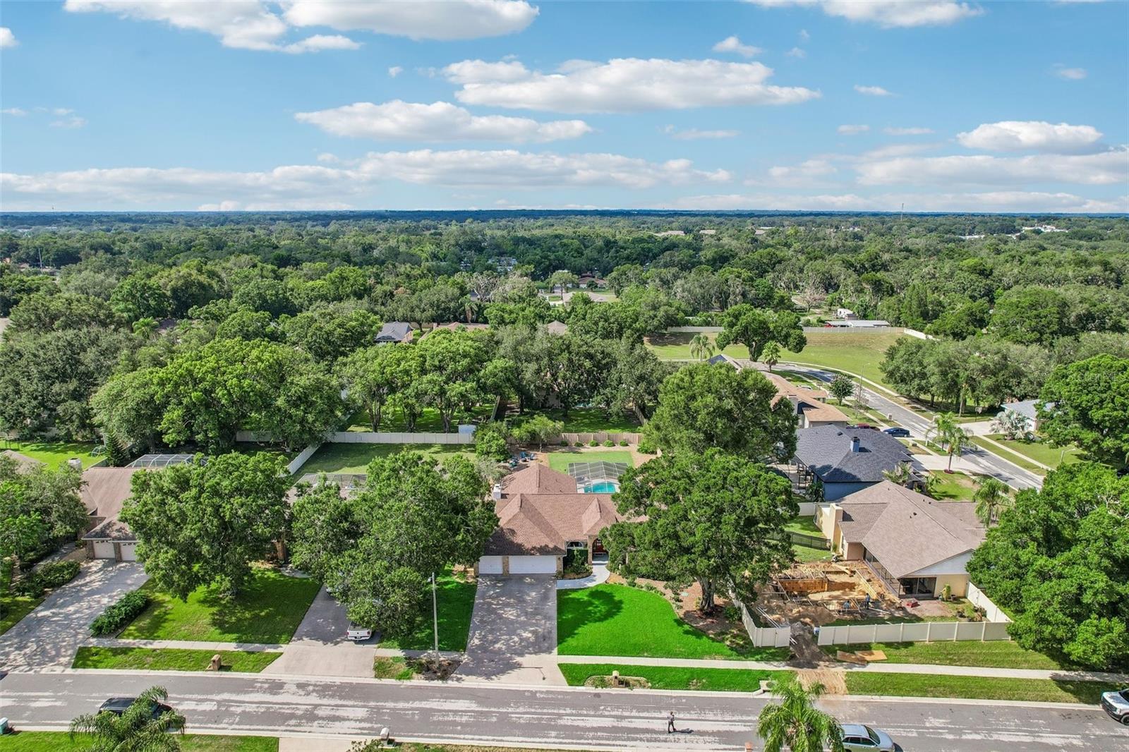 3949 APPLETREE DR, VALRICO, FL — photo 80
