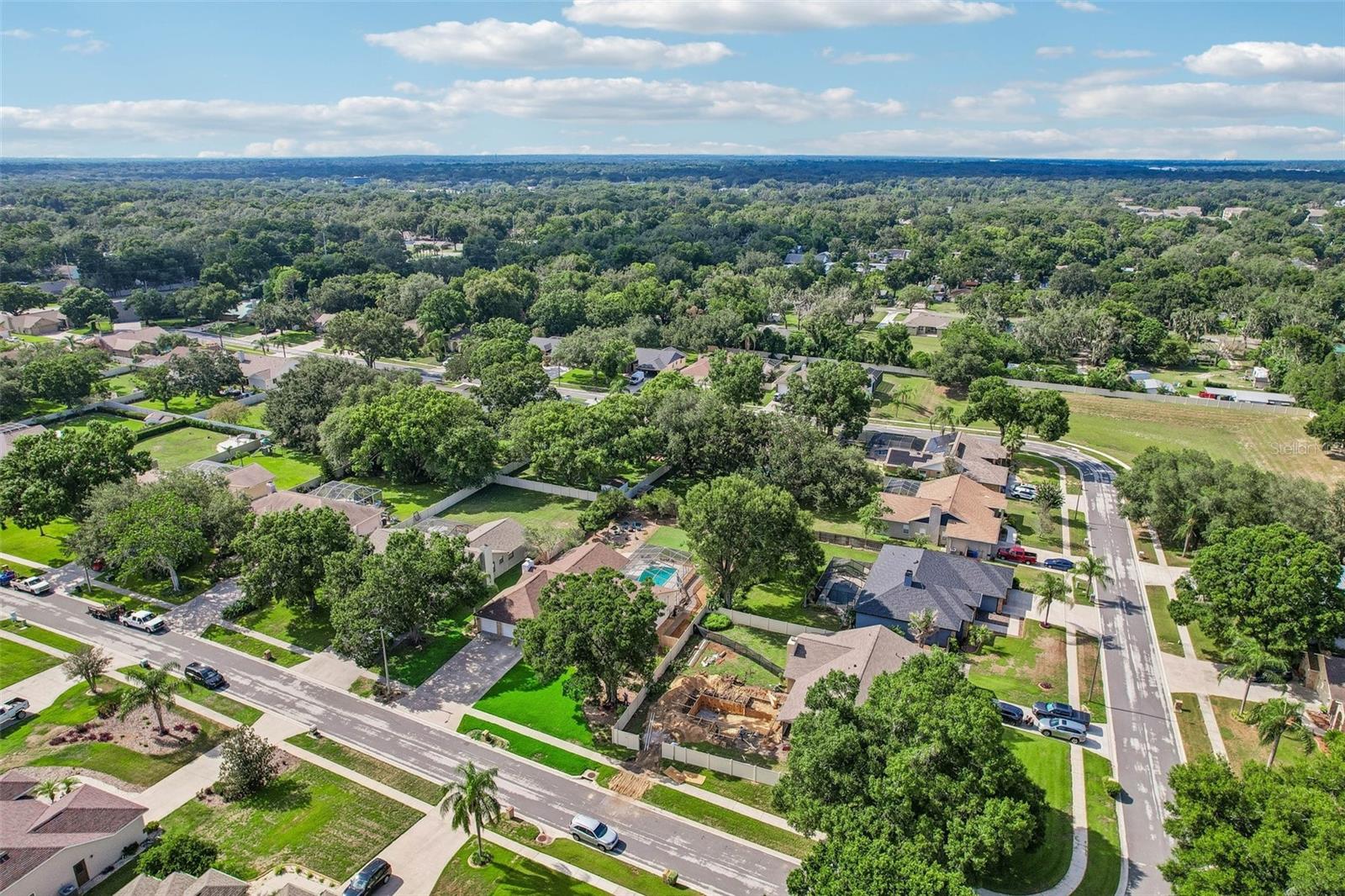 3949 APPLETREE DR, VALRICO, FL — photo 83