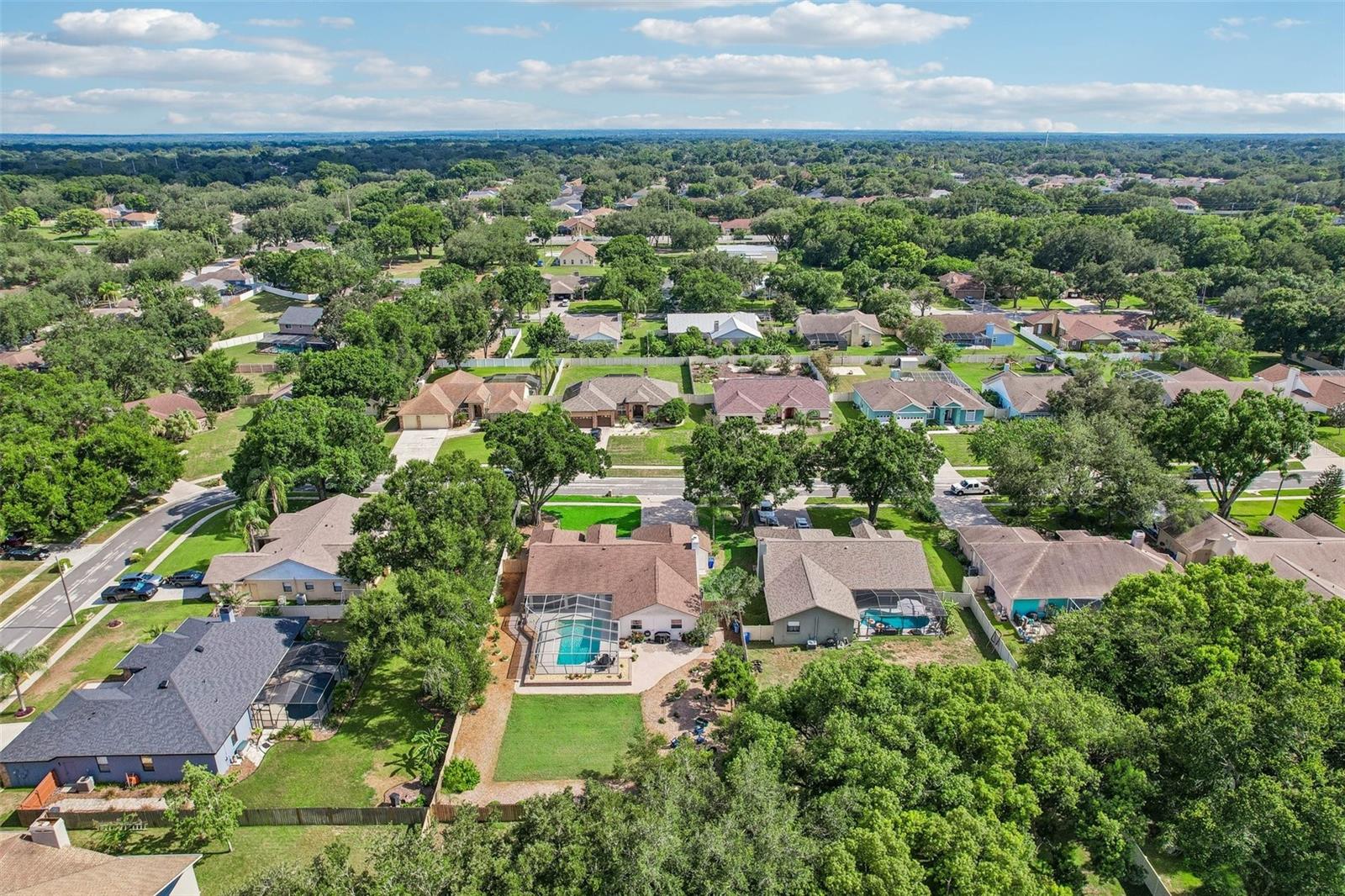 3949 APPLETREE DR, VALRICO, FL — photo 85