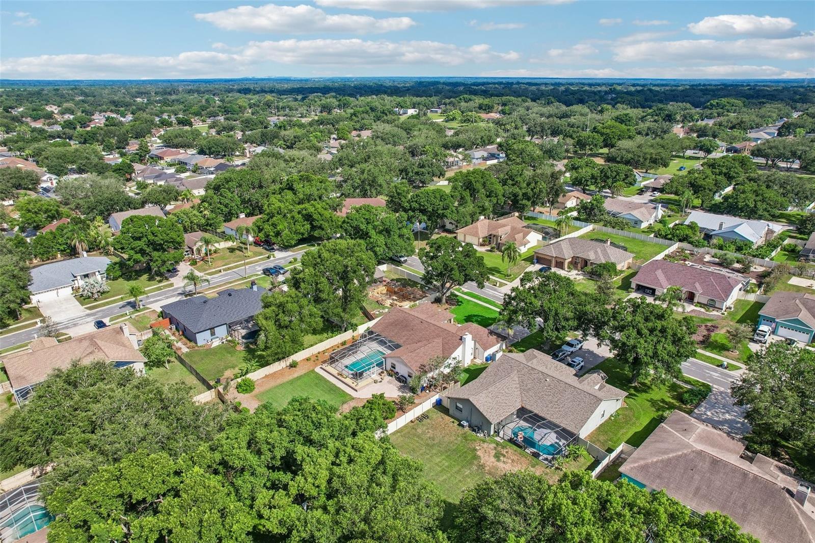 3949 APPLETREE DR, VALRICO, FL — photo 86