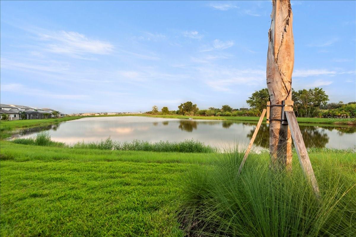 17703 SAVORY MIST CIR, LAKEWOOD RANCH, FL — photo 57