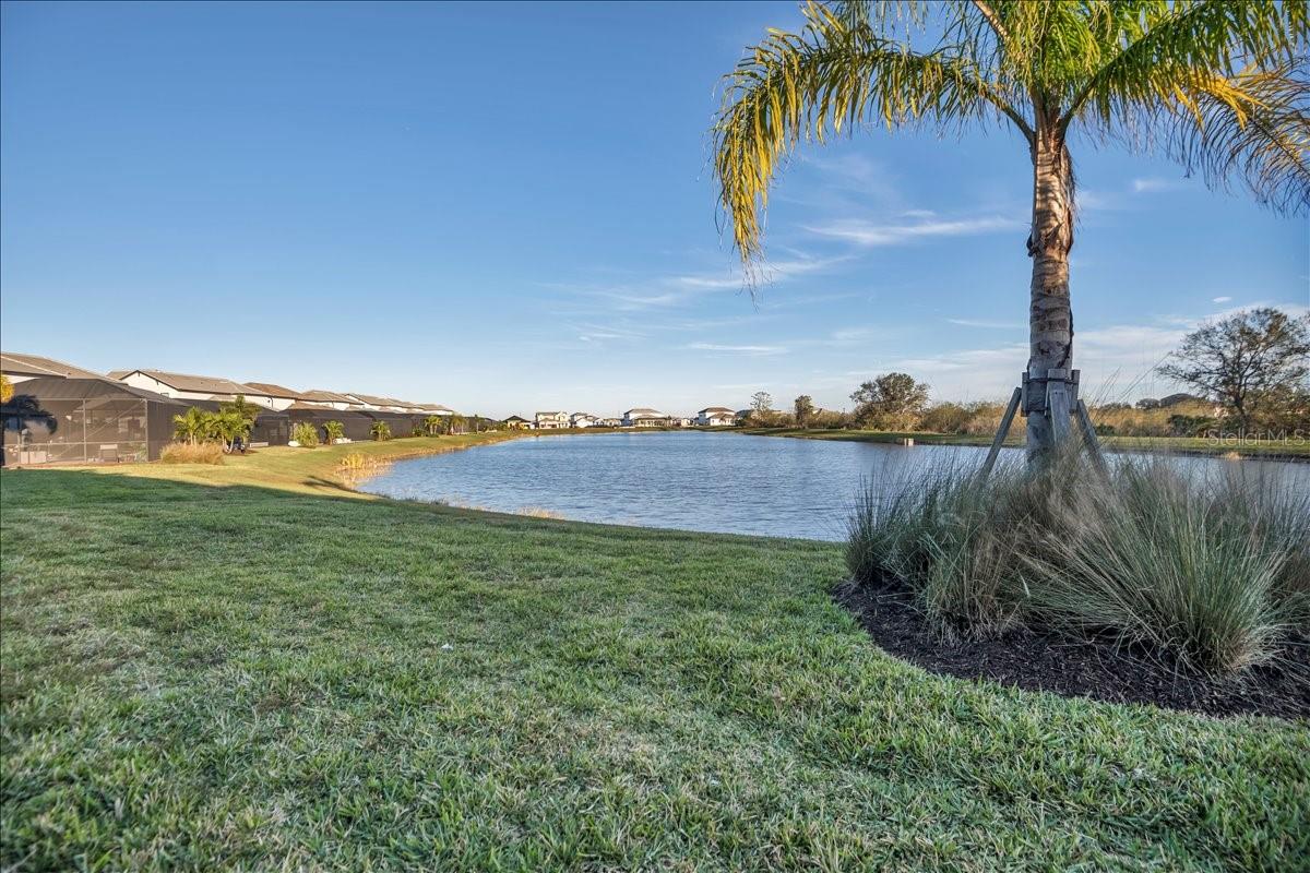17703 SAVORY MIST CIR, LAKEWOOD RANCH, FL — photo 58
