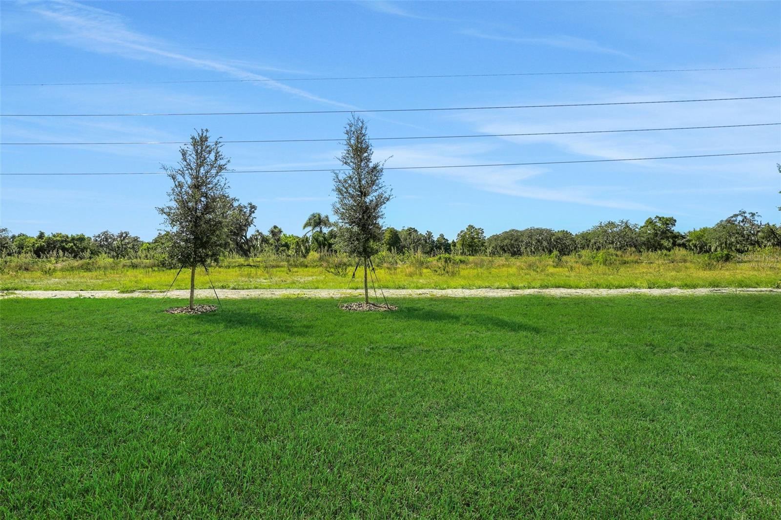 1040 LUKE AVE, WINTER HAVEN, FL — photo 29