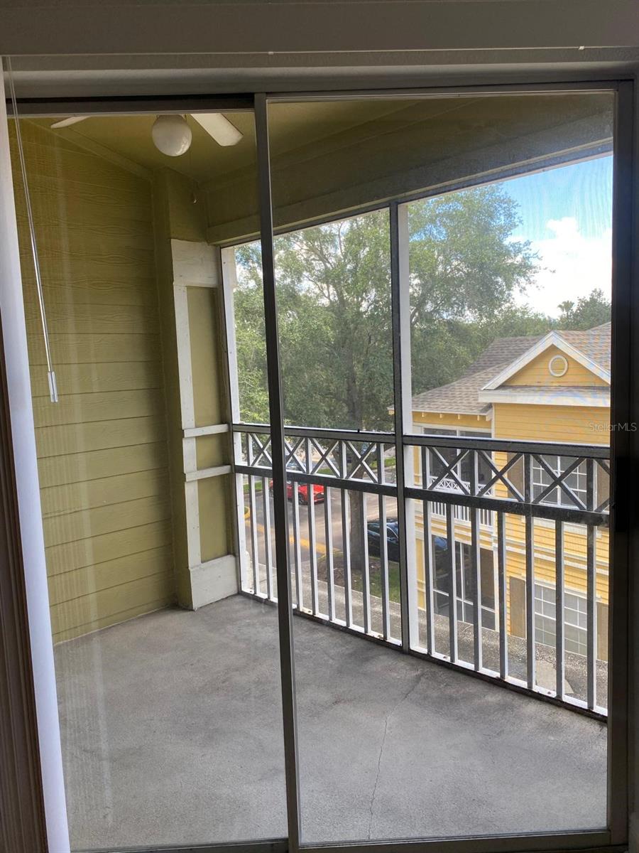 , ORLANDO, FL — photo 10