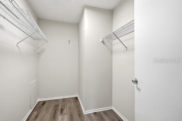 1717 BELLEAIR FOREST DR #A, CLEARWATER, FL — photo 22