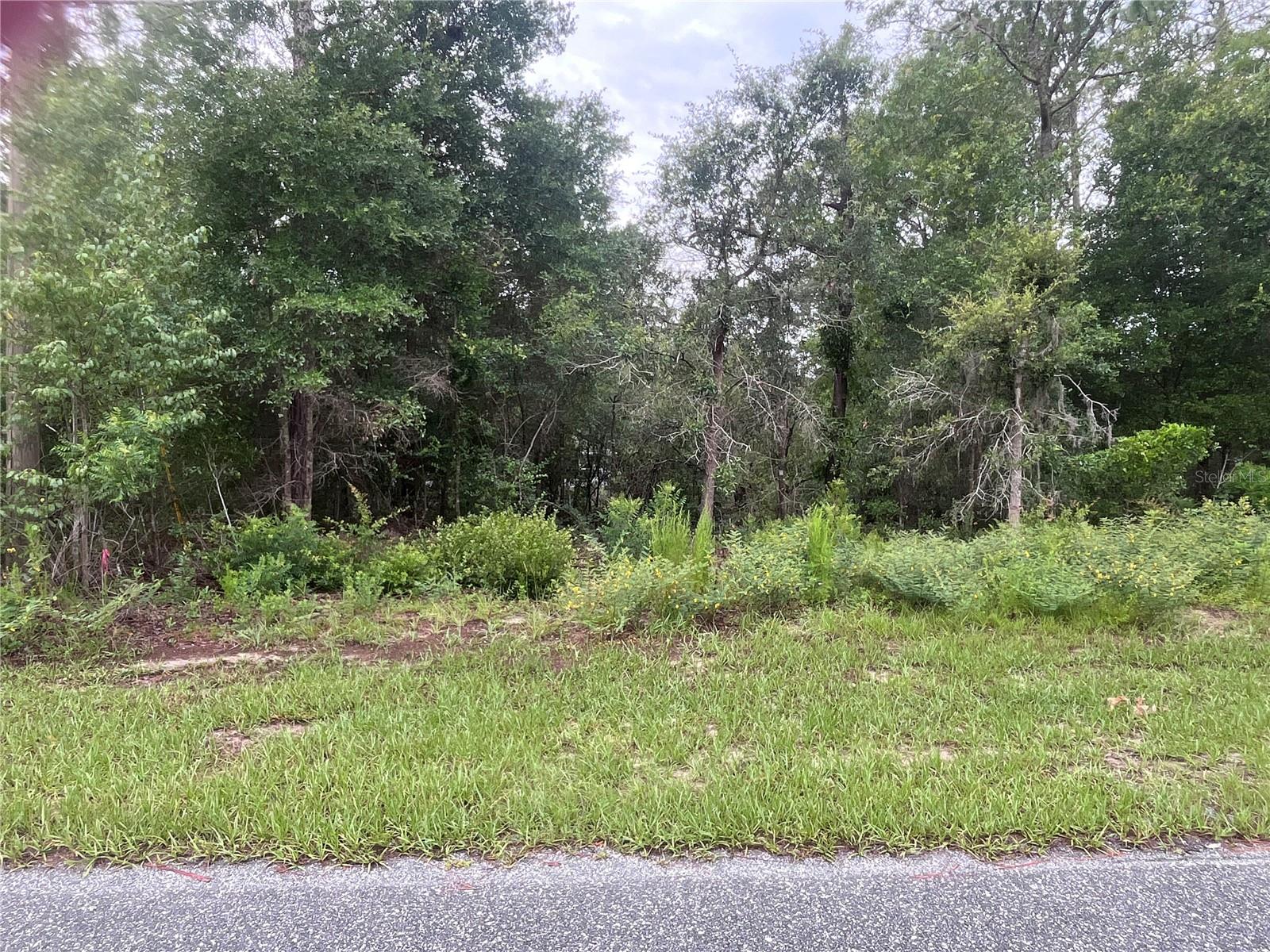 11060 N IRON DR, CITRUS SPRINGS, FL — photo 4