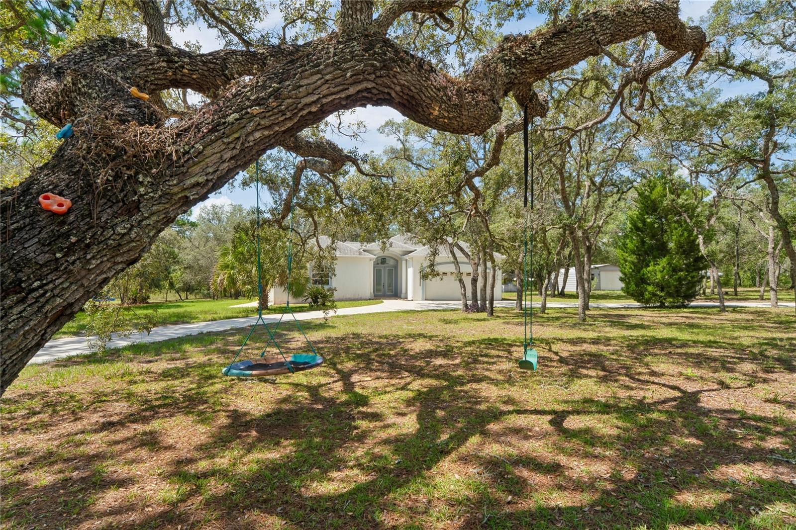12408 KANAWHA DR, WEEKI WACHEE, FL — photo 2