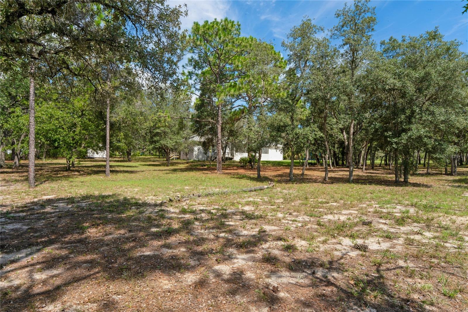 12408 KANAWHA DR, WEEKI WACHEE, FL — photo 72