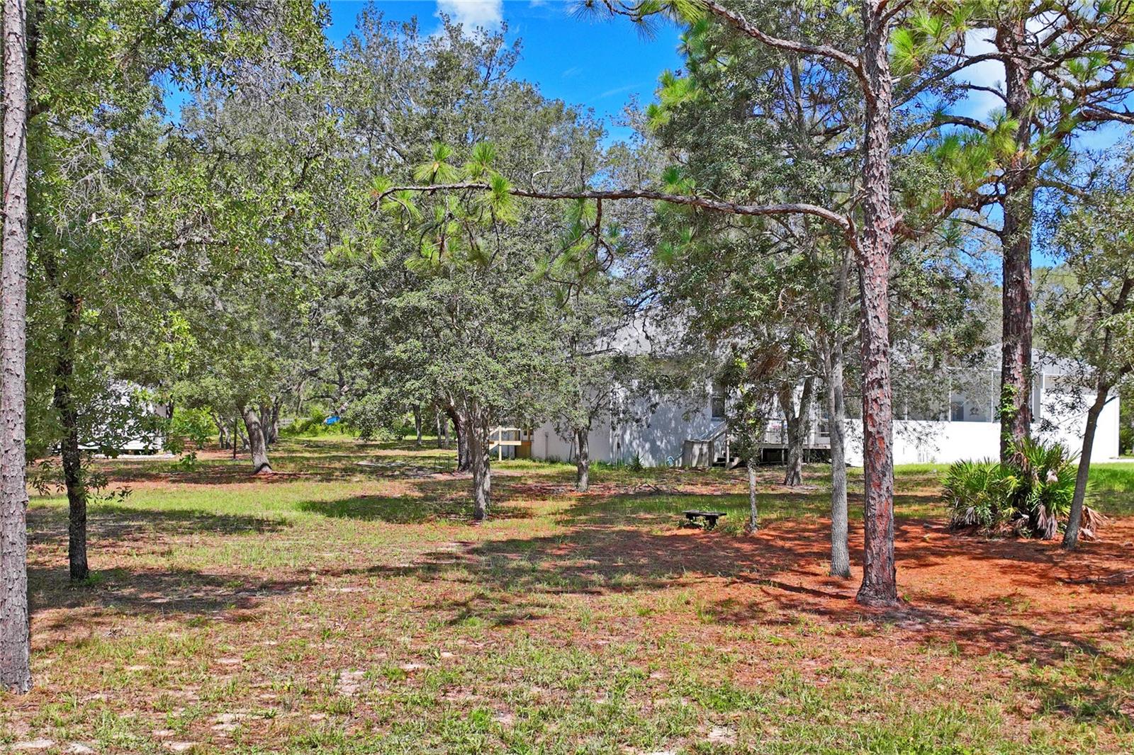 12408 KANAWHA DR, WEEKI WACHEE, FL — photo 76