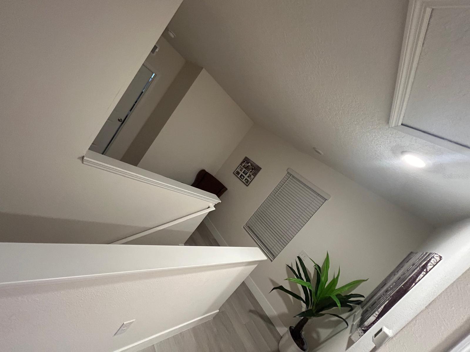 32804 BROOKS HAWK LN, WESLEY CHAPEL, FL — photo 20
