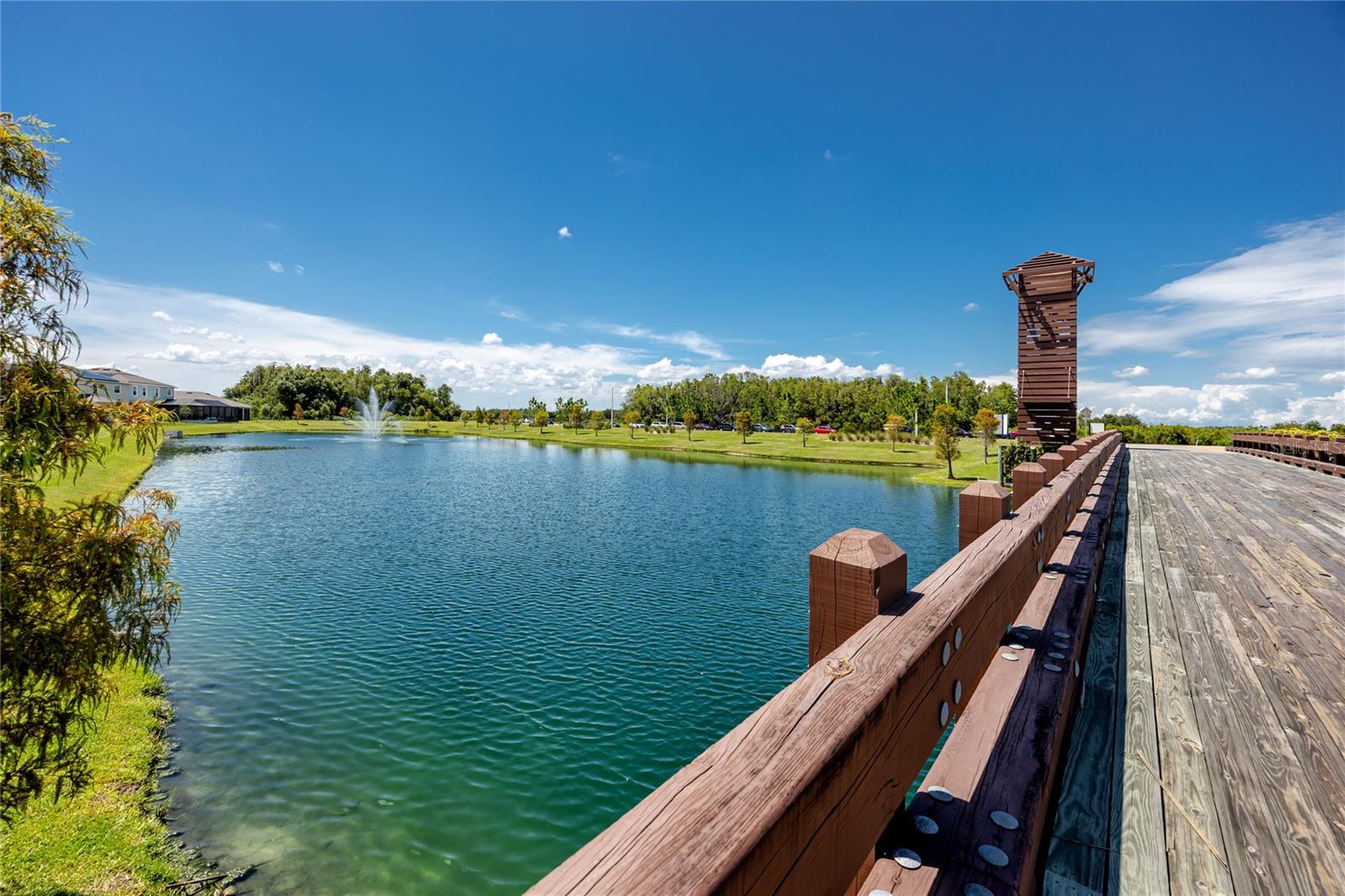 32804 BROOKS HAWK LN, WESLEY CHAPEL, FL — photo 28