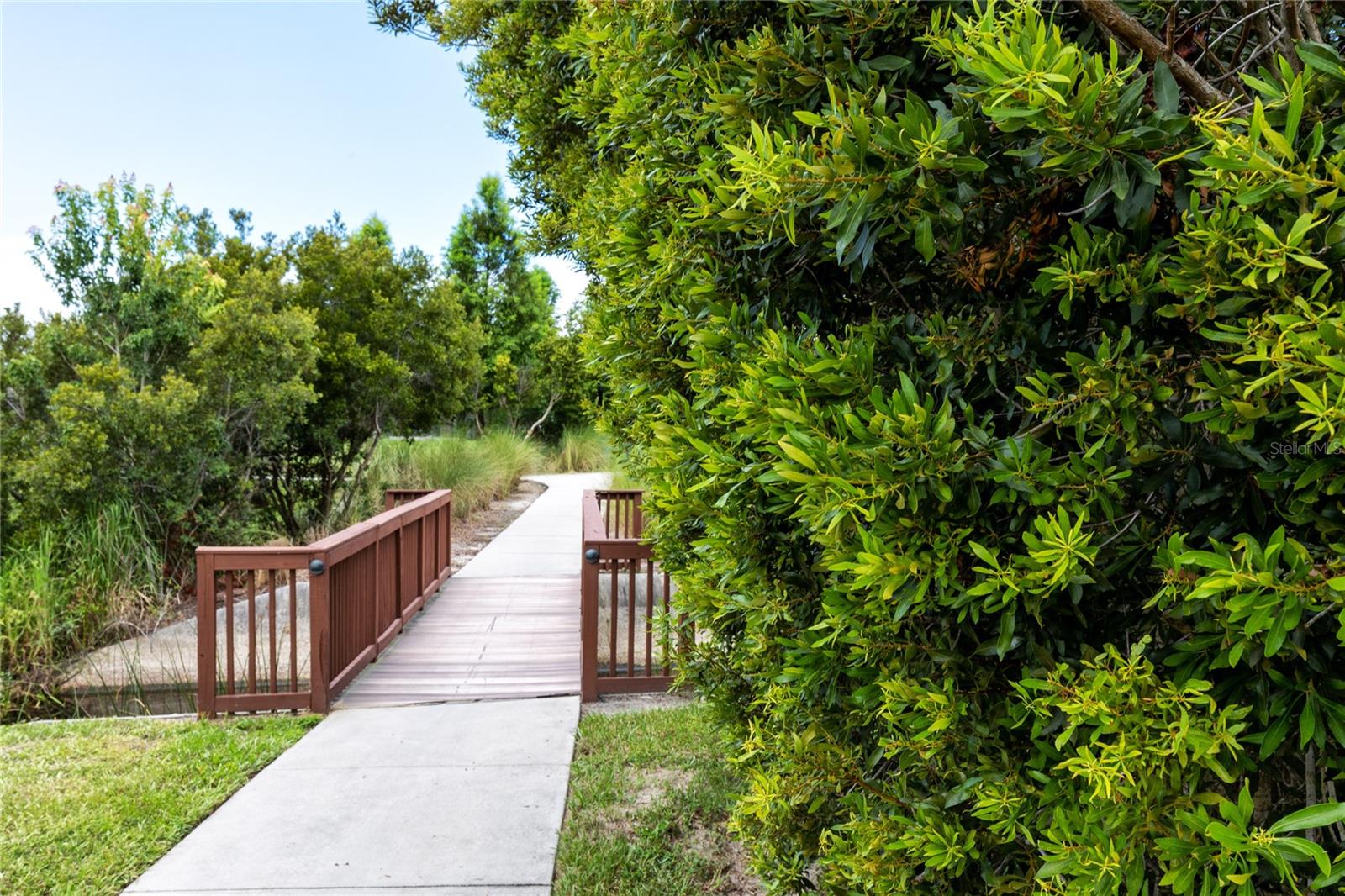 32804 BROOKS HAWK LN, WESLEY CHAPEL, FL — photo 30
