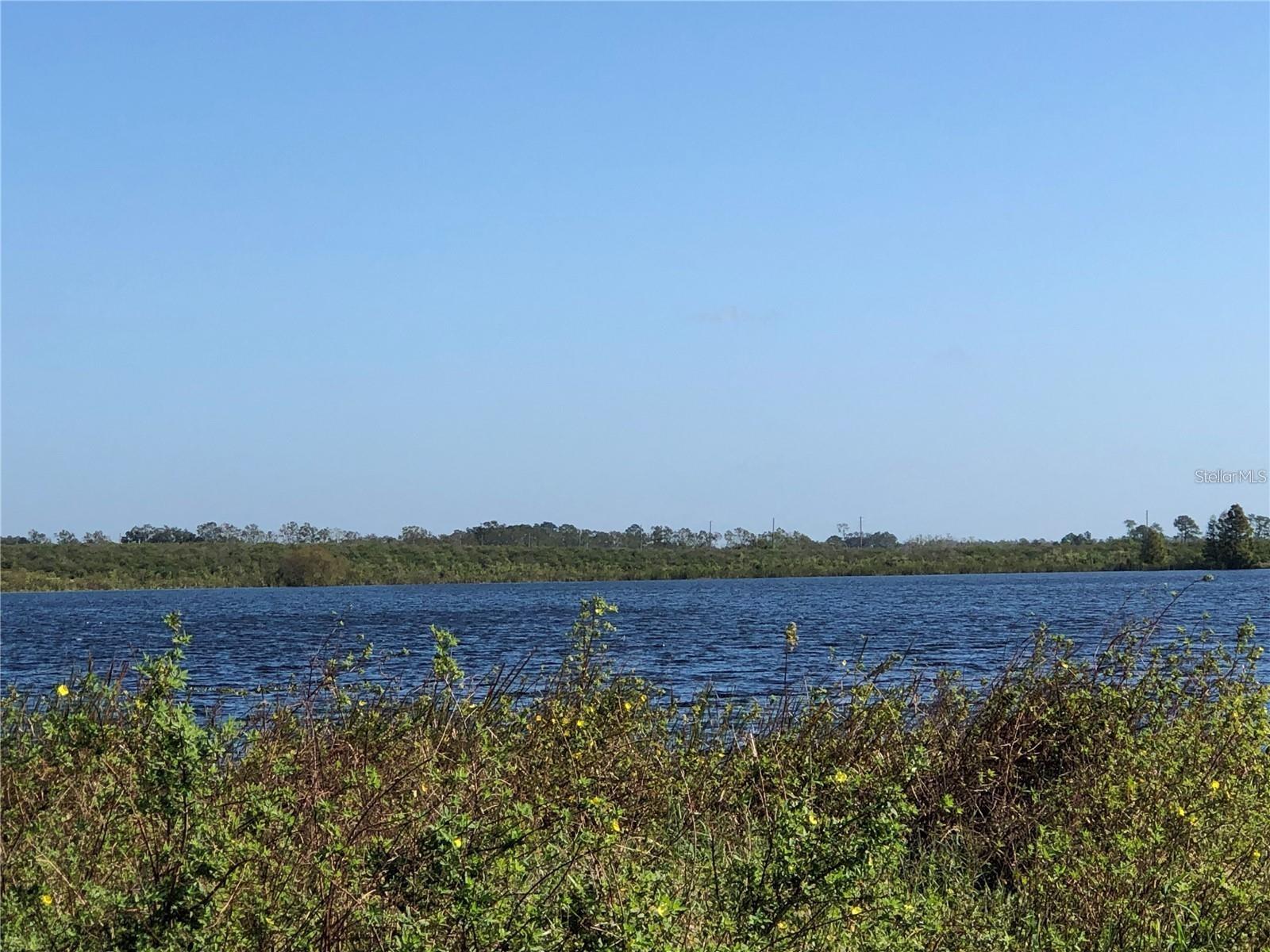 308 SOFIA LN, LAKE ALFRED, FL — photo 41