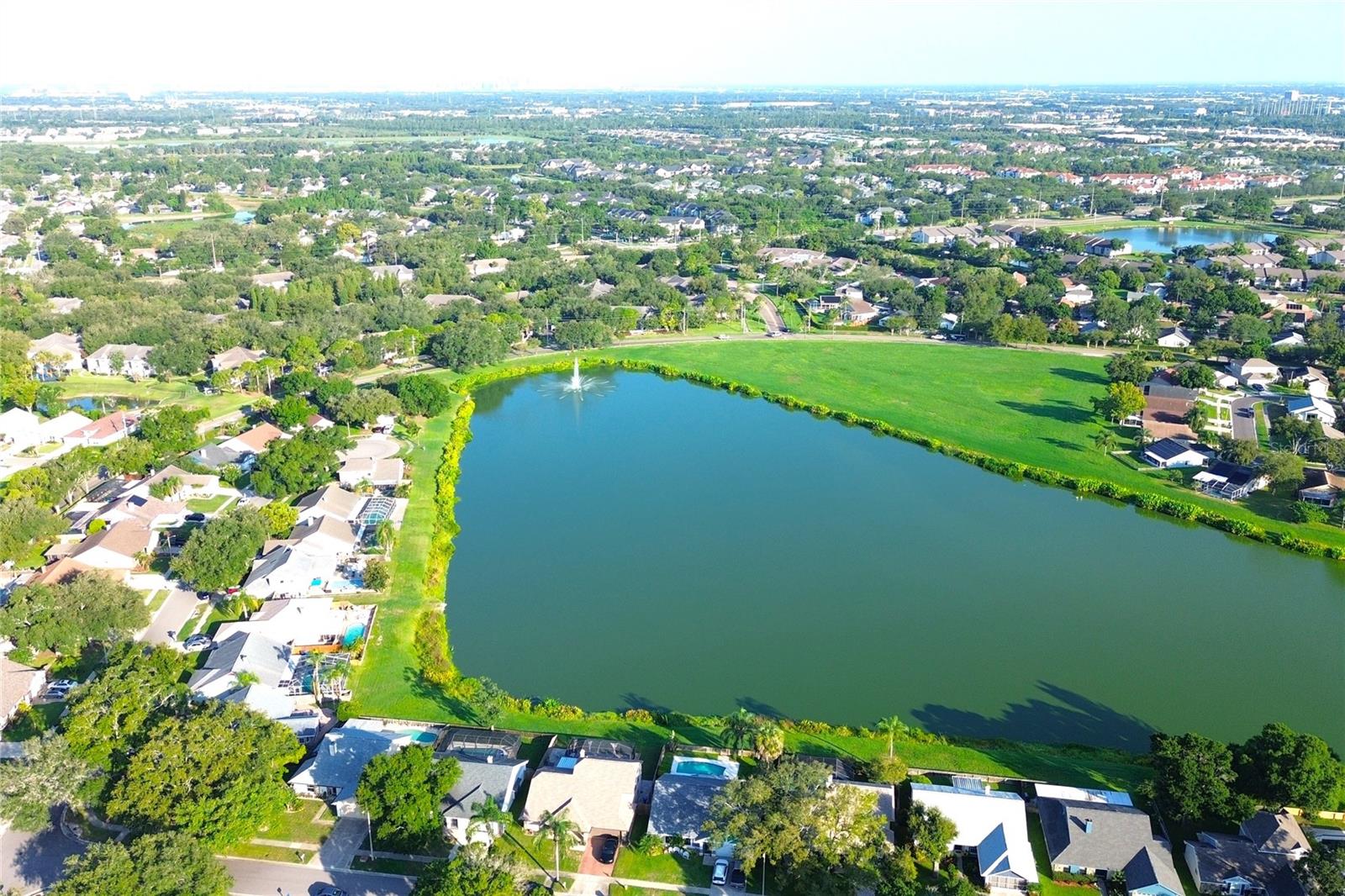 1913 FIRETHORN CT, BRANDON, FL — photo 29