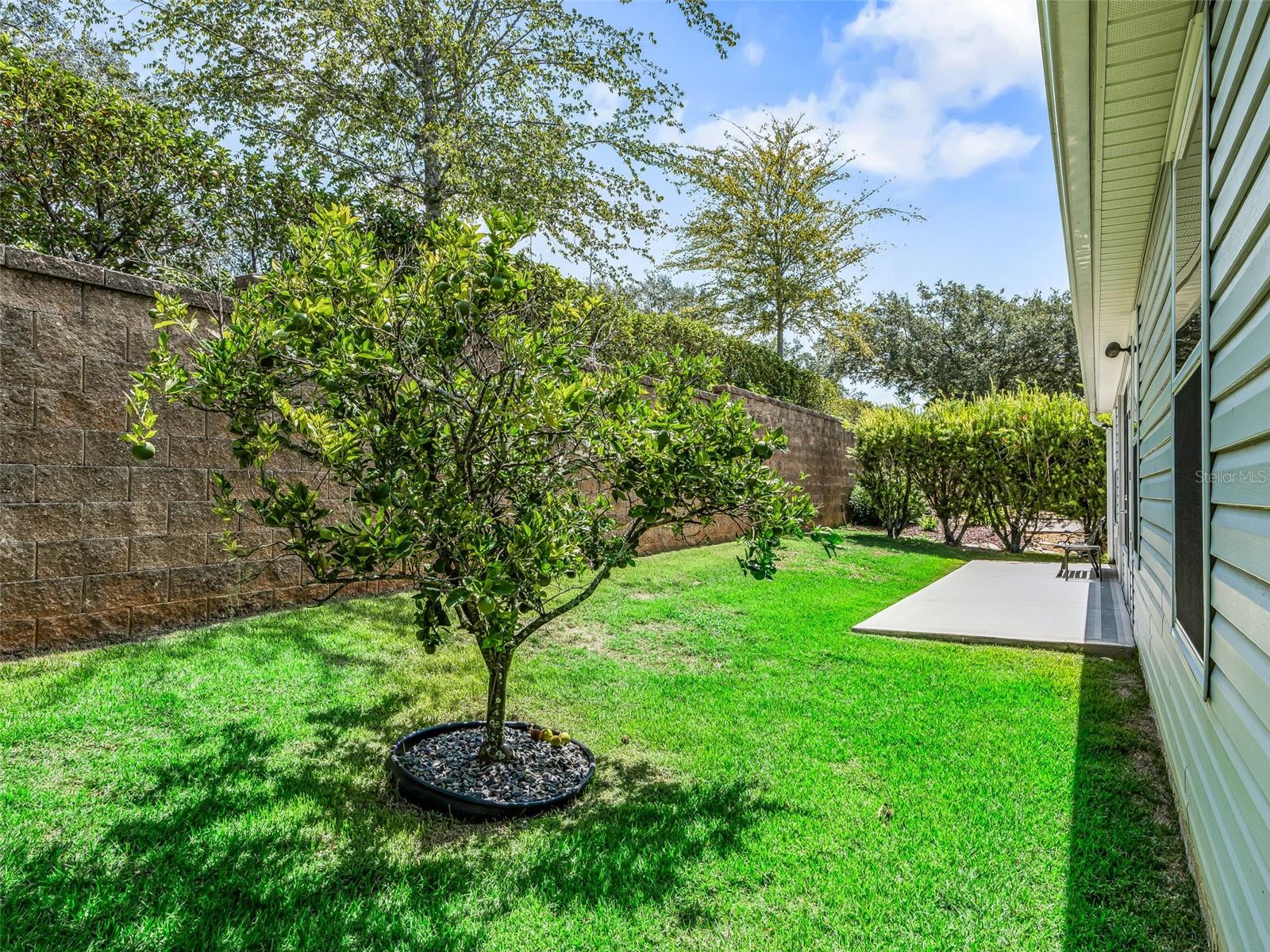 764 BAISLEY TRL, THE VILLAGES, FL — photo 34