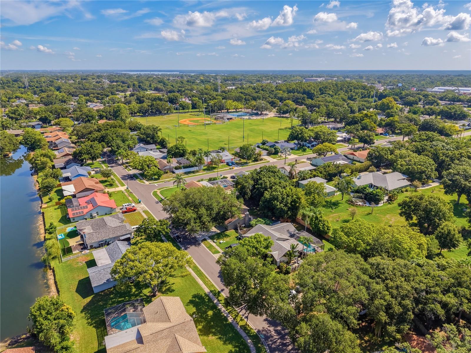 414 STILL MEADOWS CIR E, PALM HARBOR, FL — photo 65