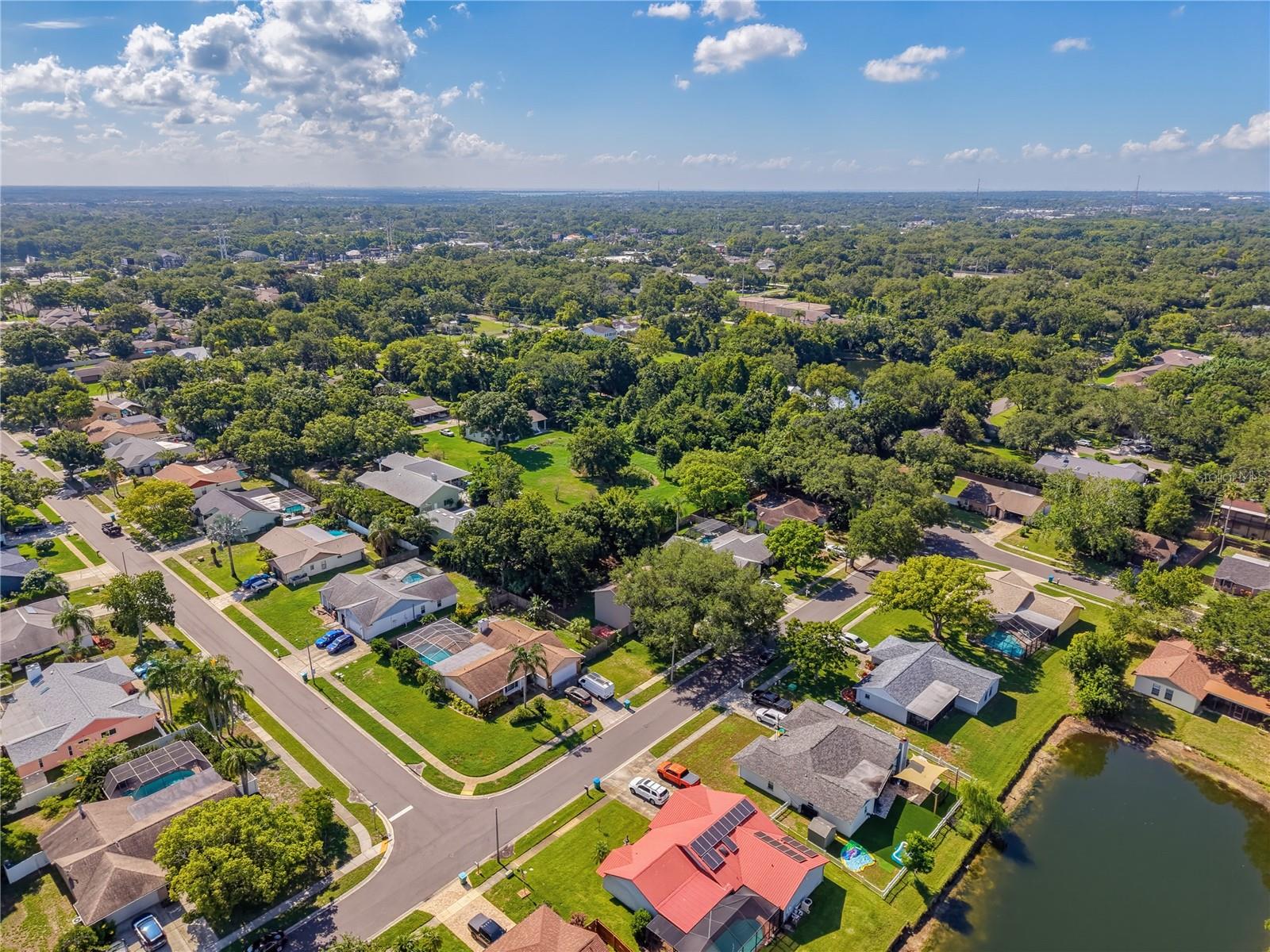 414 STILL MEADOWS CIR E, PALM HARBOR, FL — photo 69