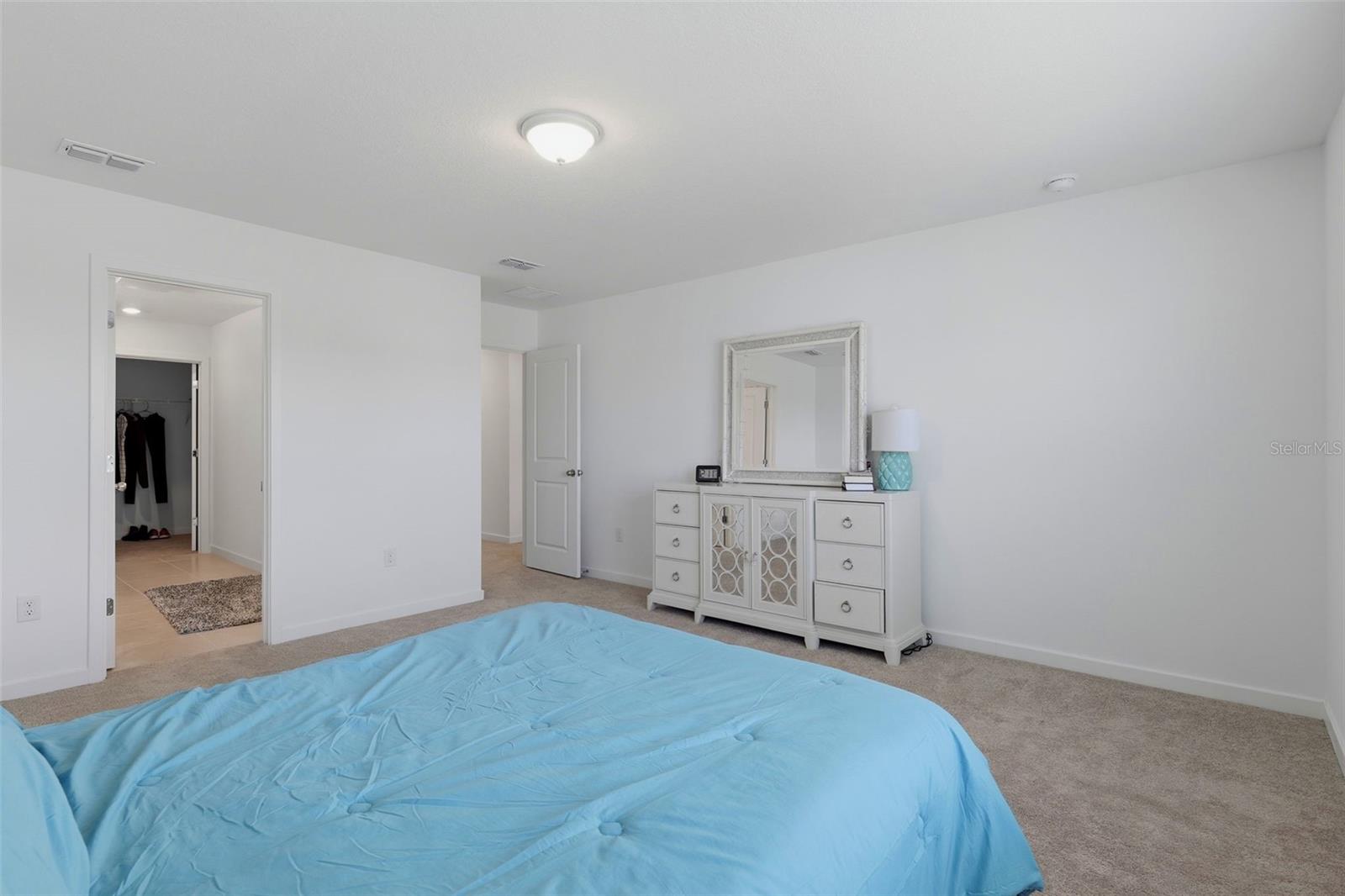 10517 HIDDEN BANKS GLN, PARRISH, FL — photo 19