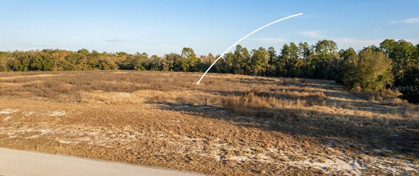 SE 136TH TER, MORRISTON, FL — photo 10