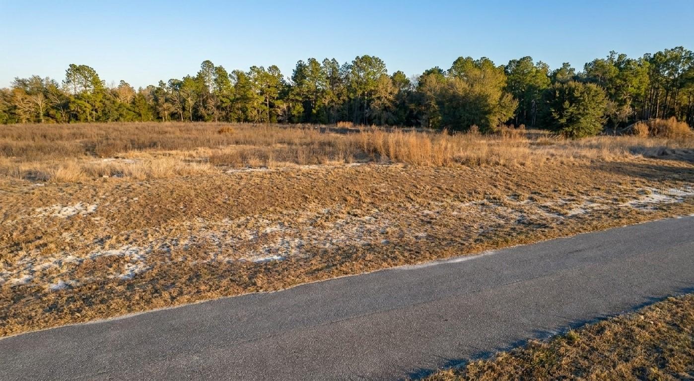 SE 136TH TER, MORRISTON, FL — photo 12