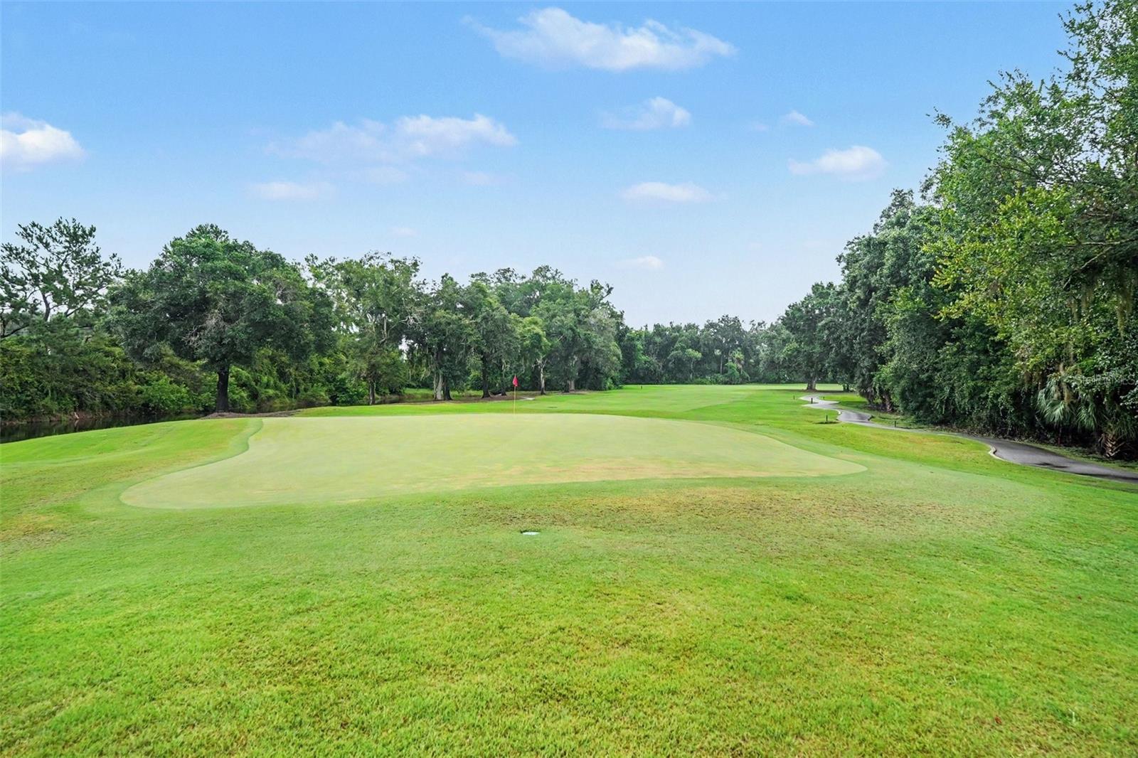 2950 ST ANDREWS BLVD, TARPON SPRINGS, FL — photo 4
