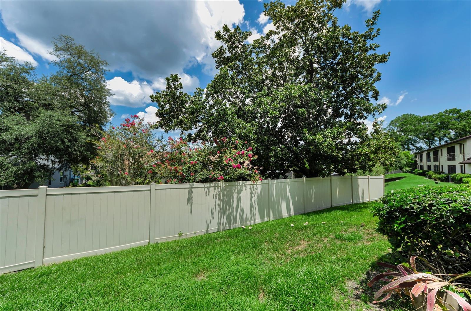 3610 MAGNOLIA RIDGE CIR #1304, PALM HARBOR, FL — photo 41