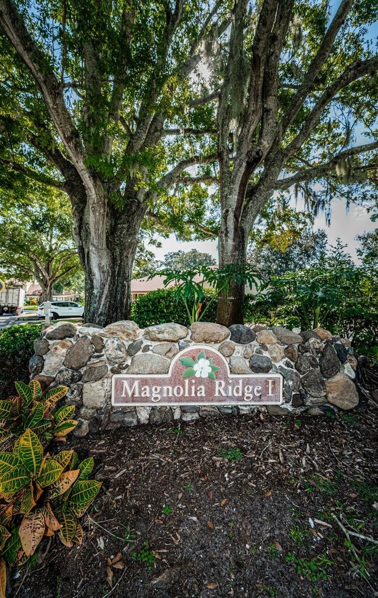3610 MAGNOLIA RIDGE CIR #1304, PALM HARBOR, FL — photo 47
