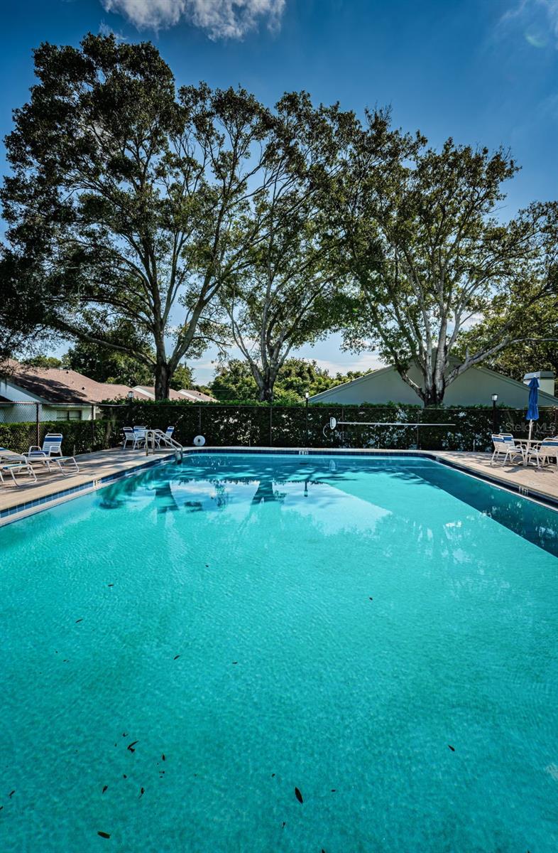 3610 MAGNOLIA RIDGE CIR #1304, PALM HARBOR, FL — photo 51