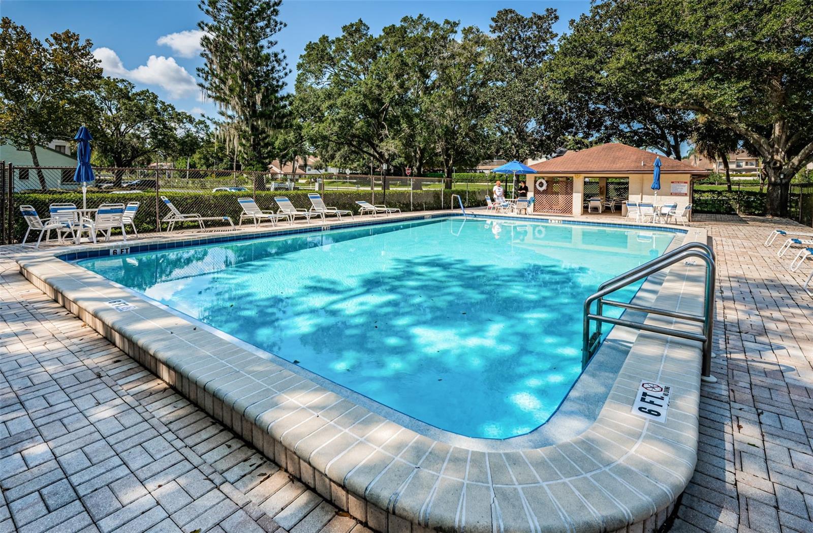 3610 MAGNOLIA RIDGE CIR #1304, PALM HARBOR, FL — photo 53