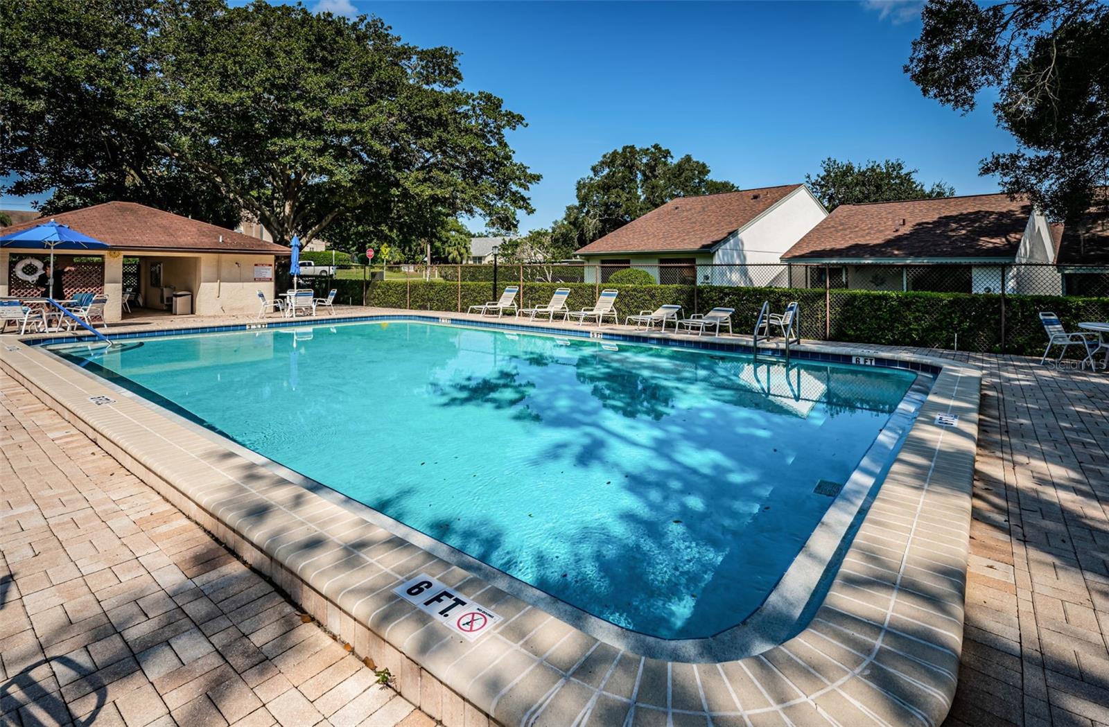 3610 MAGNOLIA RIDGE CIR #1304, PALM HARBOR, FL — photo 55