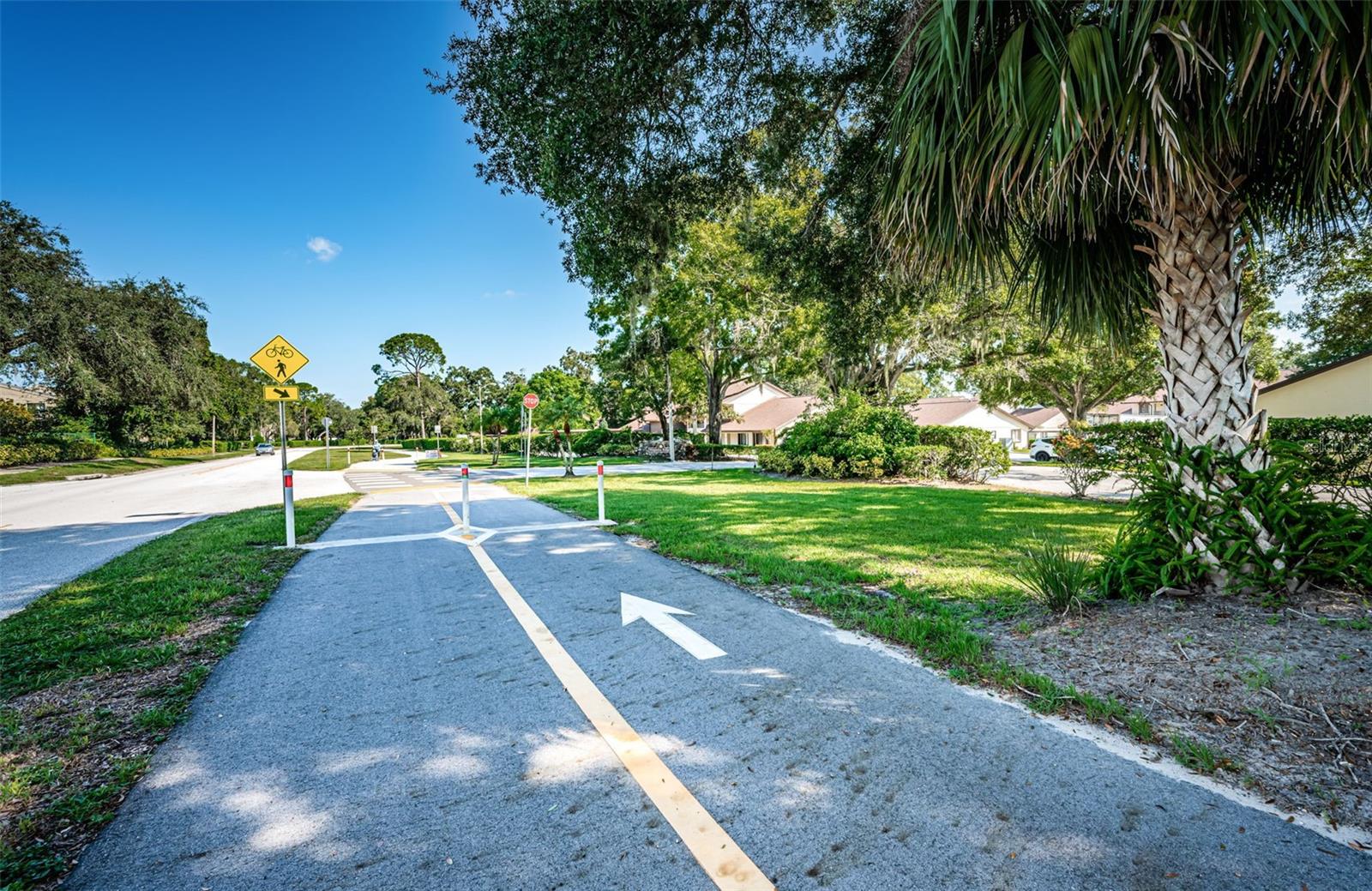 3610 MAGNOLIA RIDGE CIR #1304, PALM HARBOR, FL — photo 56