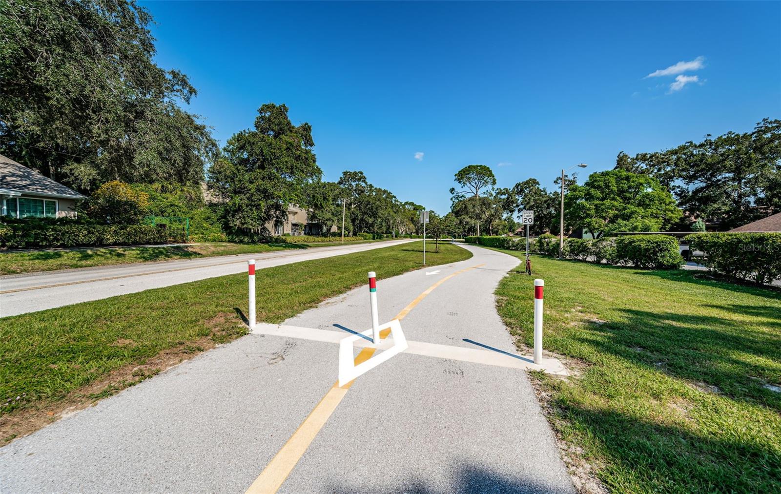3610 MAGNOLIA RIDGE CIR #1304, PALM HARBOR, FL — photo 57