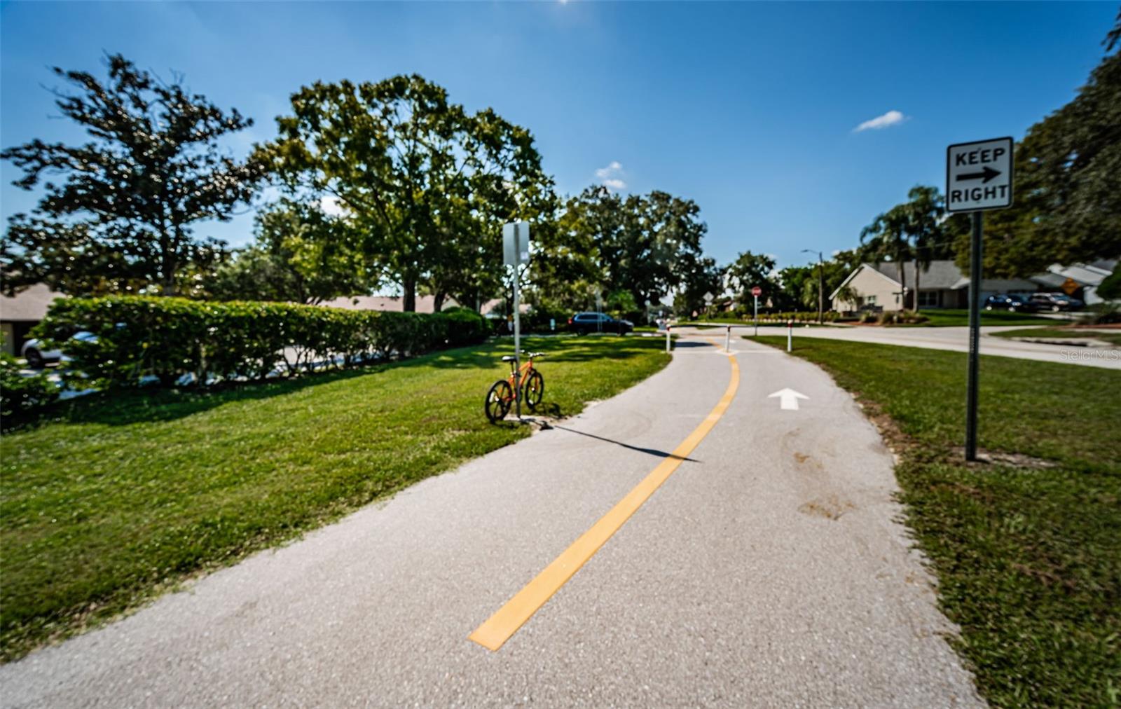 3610 MAGNOLIA RIDGE CIR #1304, PALM HARBOR, FL — photo 58