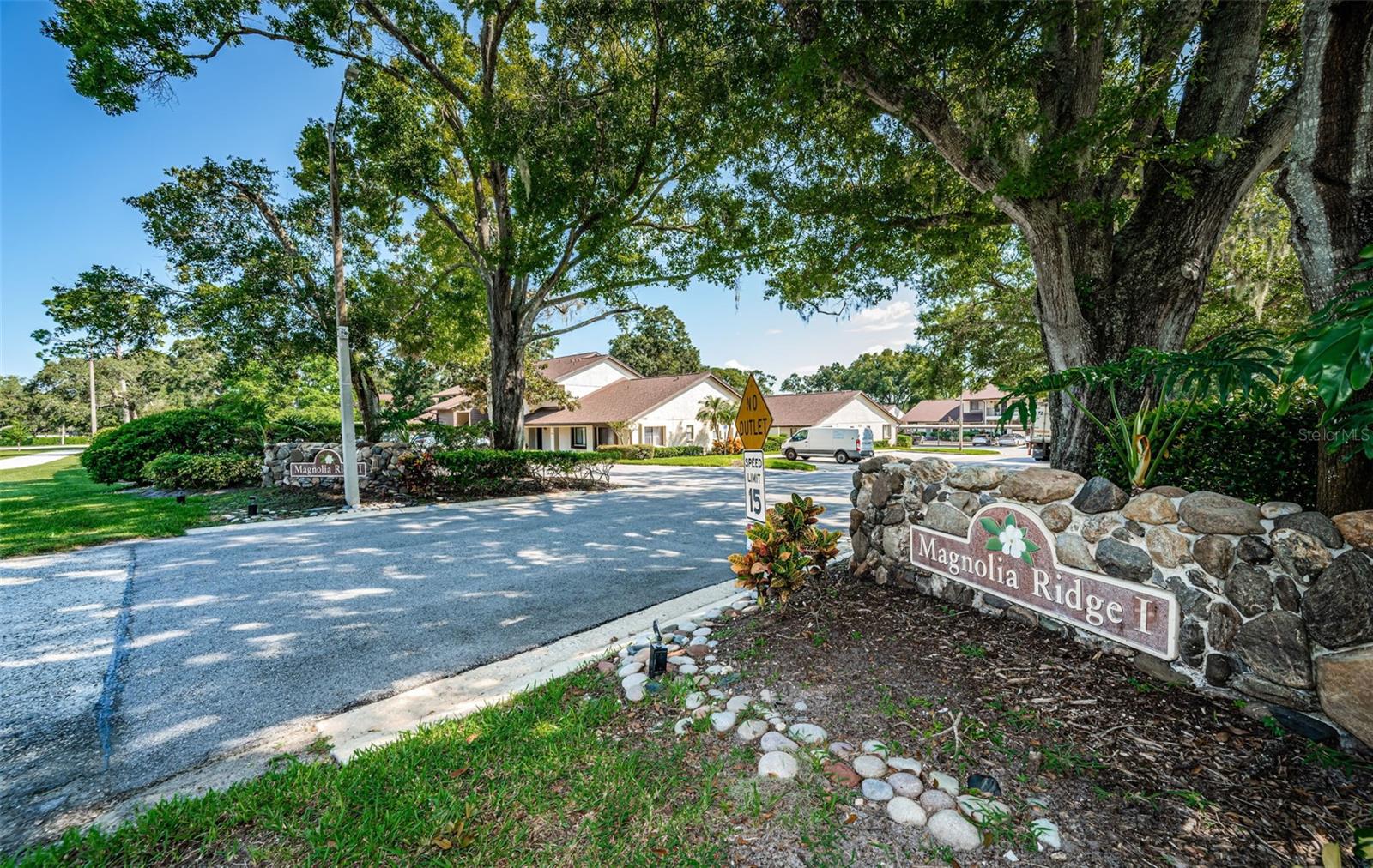 3610 MAGNOLIA RIDGE CIR #1304, PALM HARBOR, FL — photo 59