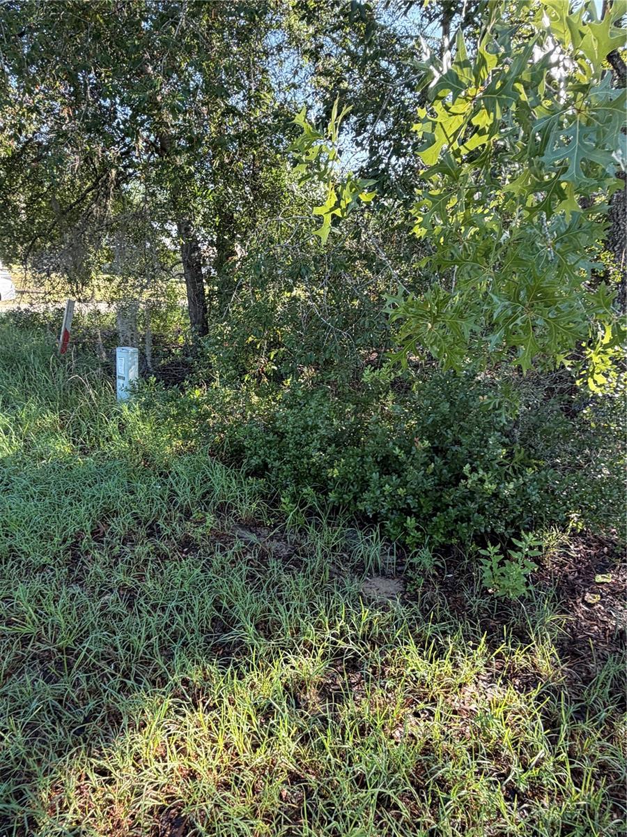 ALASKA AVE, INTERLACHEN, FL — photo 3