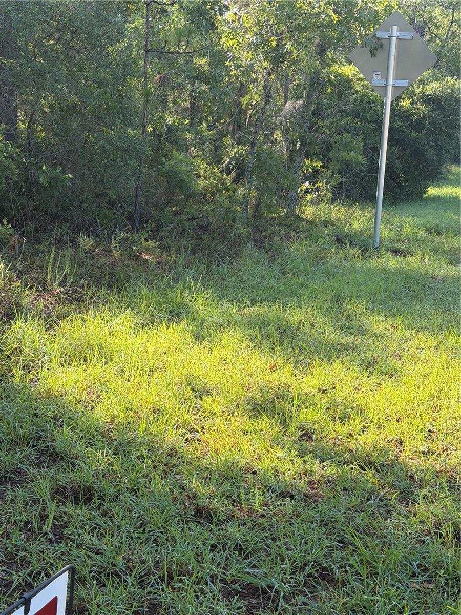 ALASKA AVE, INTERLACHEN, FL — photo 4