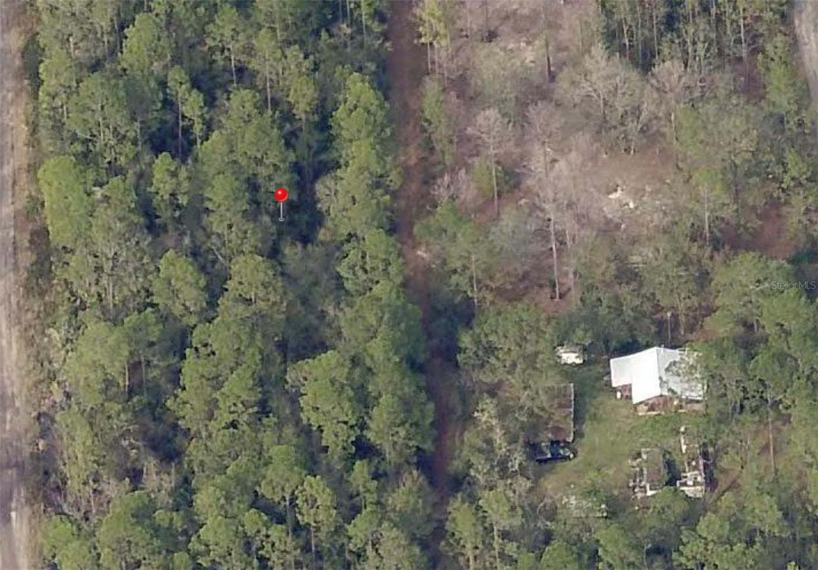 00 NE 65TH AVE, CITRA, FL