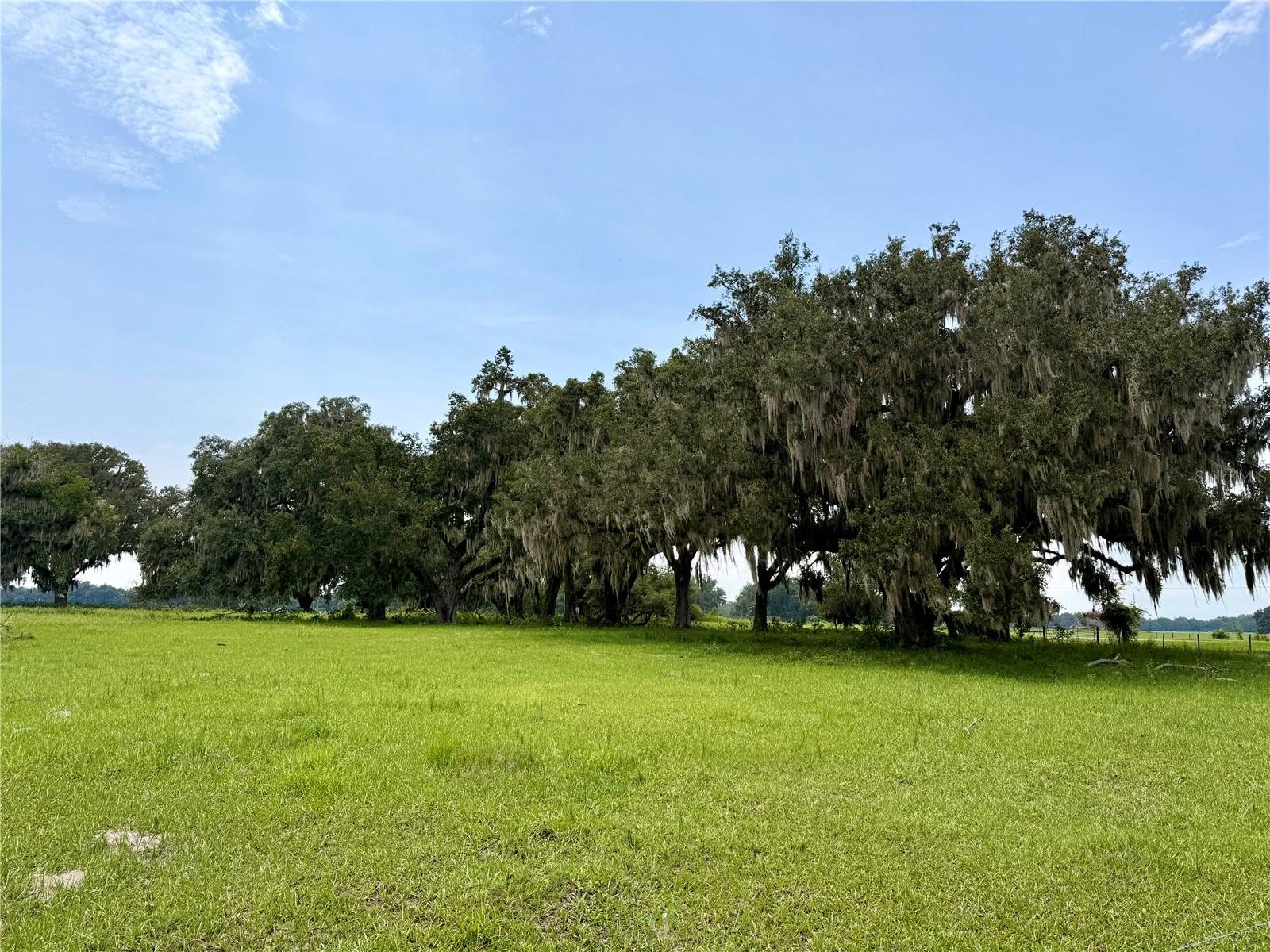E C-478, WEBSTER, FL