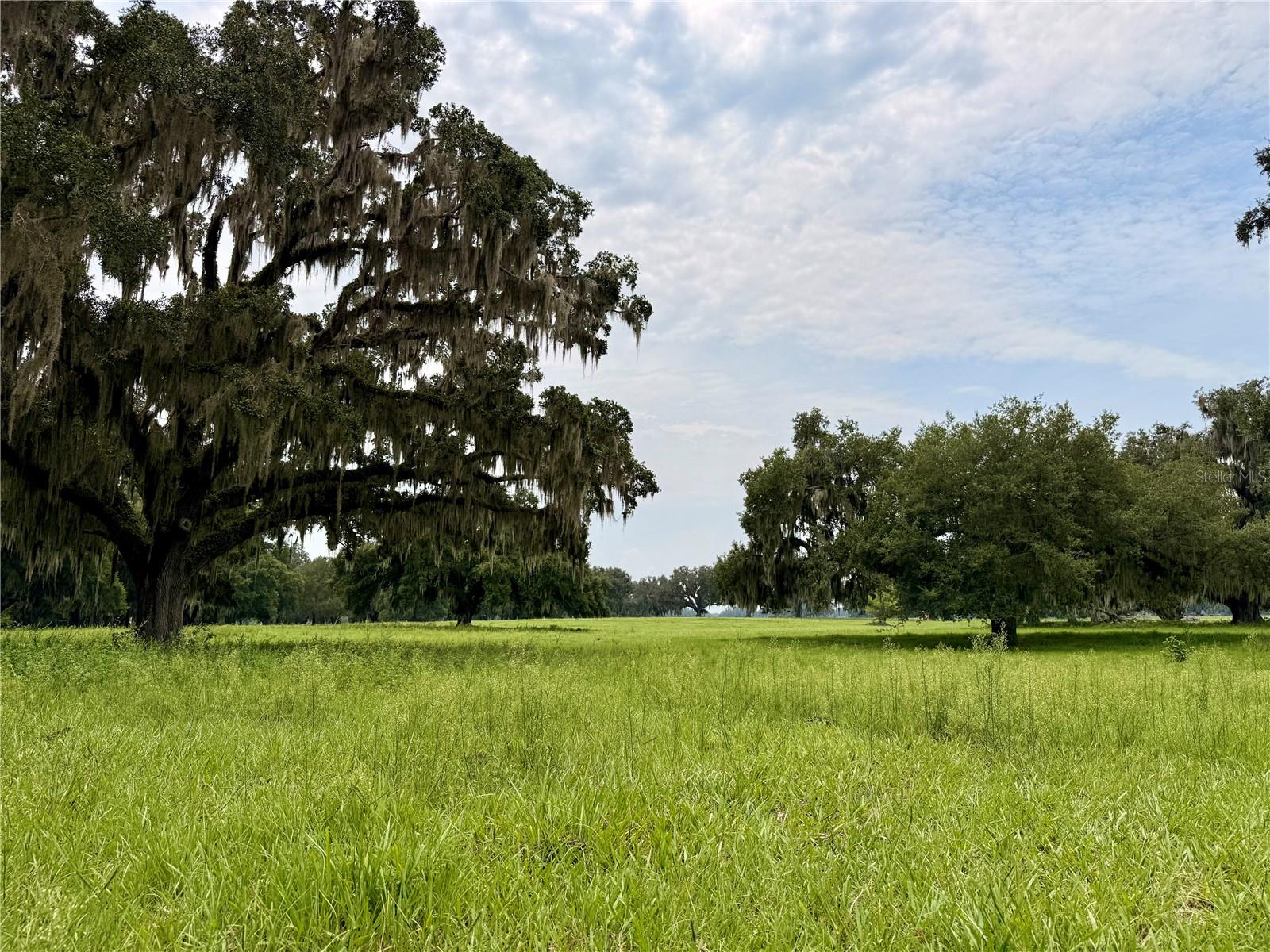 E C-478, WEBSTER, FL — photo 2