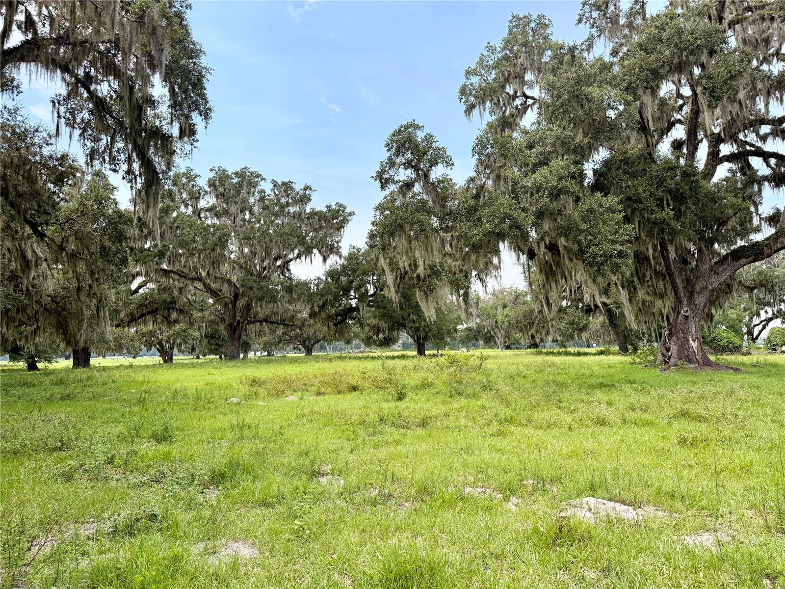 E C-478, WEBSTER, FL — photo 3