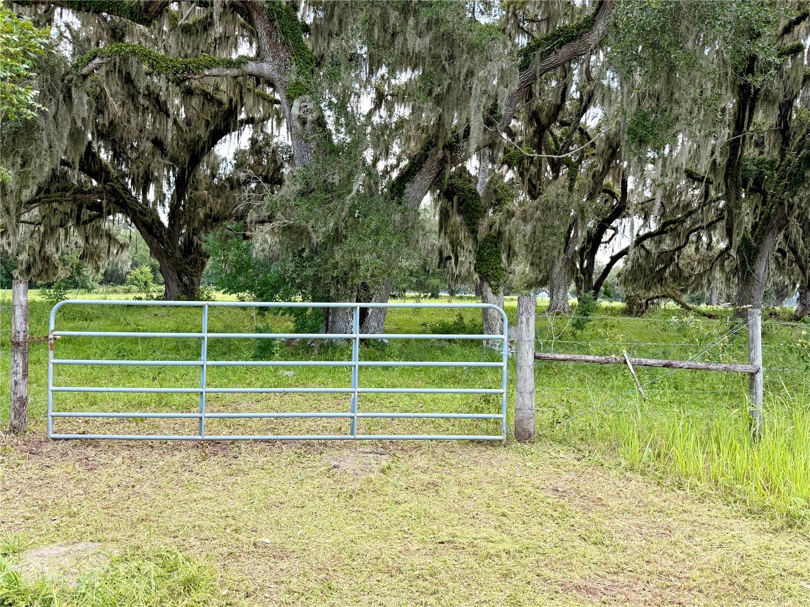 E C-478, WEBSTER, FL — photo 4