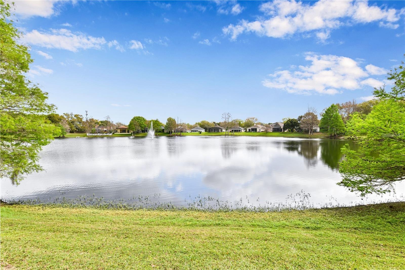 1820 BURCHSTONE DR, ORLANDO, FL — photo 22