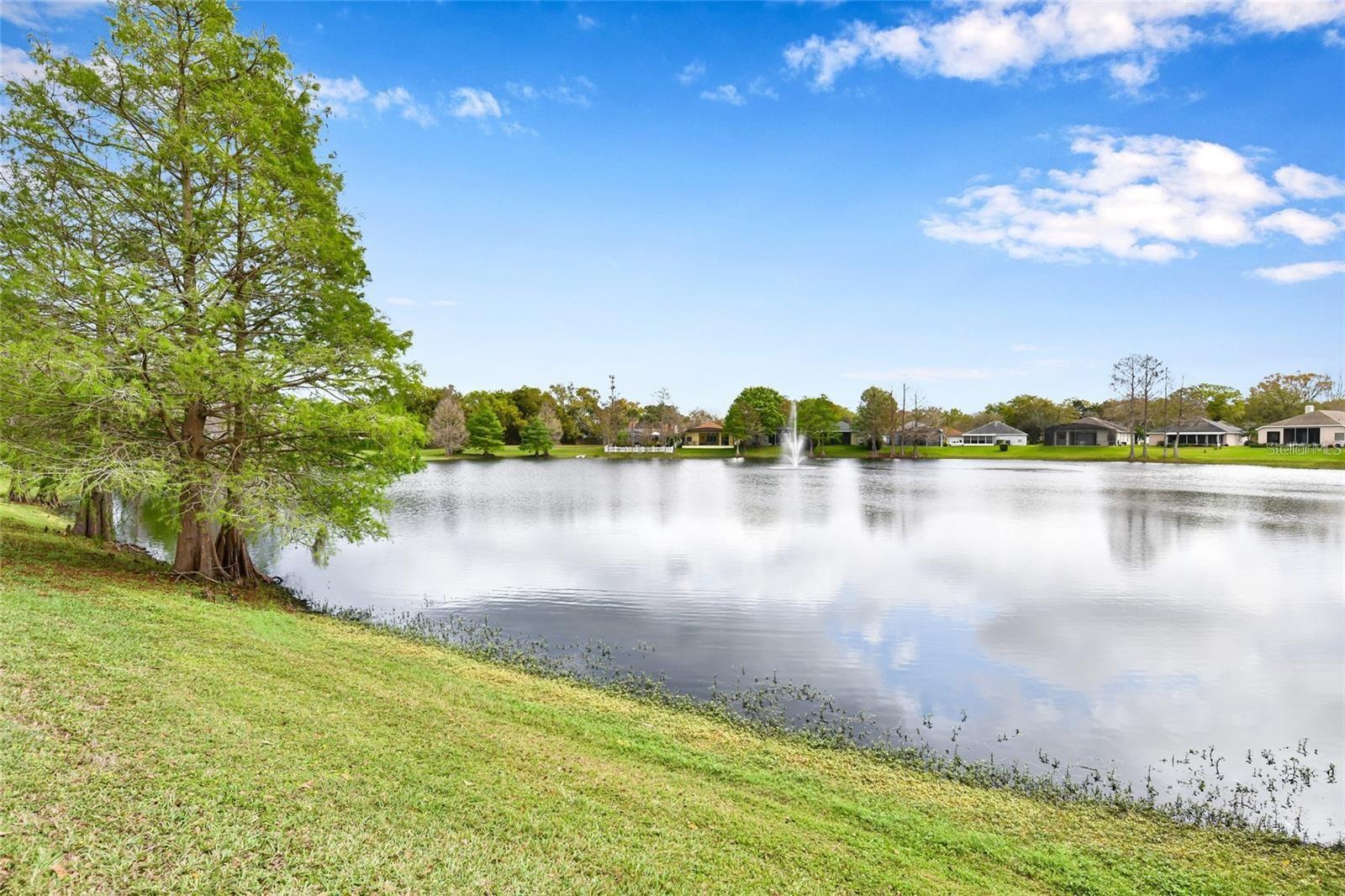 1820 BURCHSTONE DR, ORLANDO, FL — photo 24