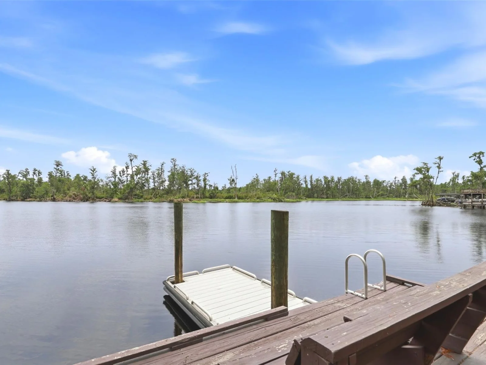 11310 SUSANS POINT DR, CLERMONT, FL — photo 43