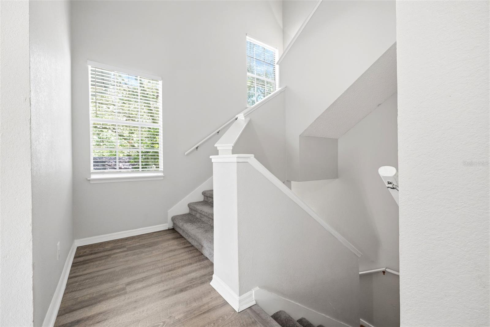 3274 HAVILAND CT #201, PALM HARBOR, FL — photo 31
